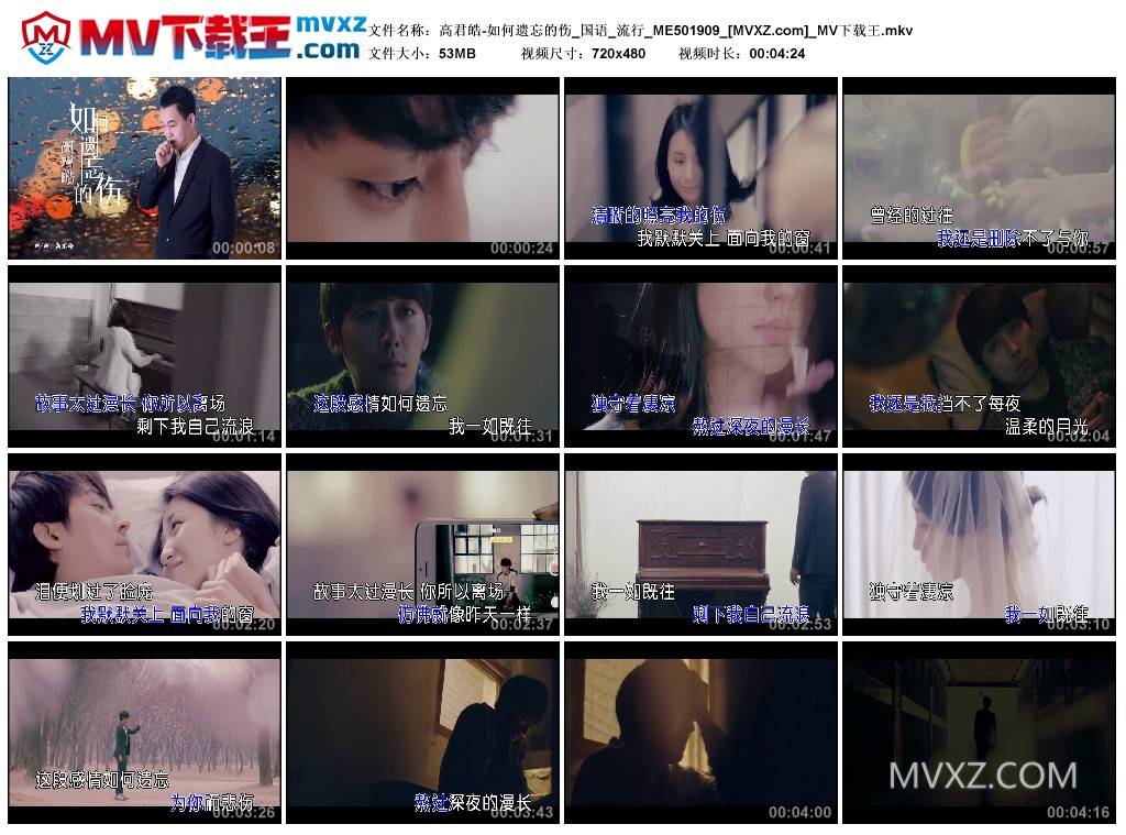 高君皓-如何遗忘的伤_国语_流行_ME501909